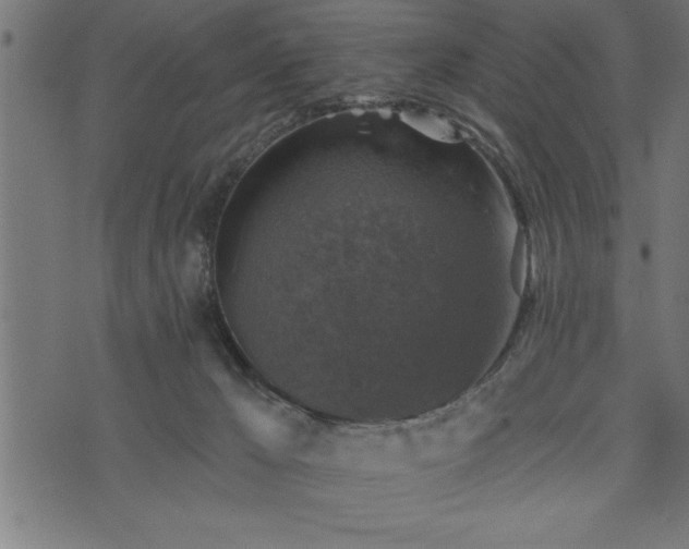 X0000073890029200608180945