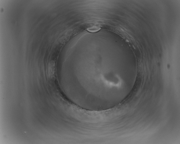 X0000073890030200608180945