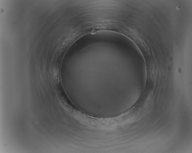 X0000073890031200608180945