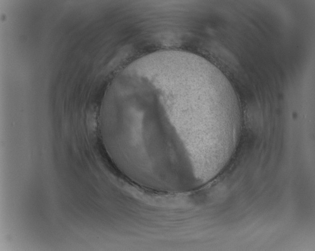 X0000073890032200608180945