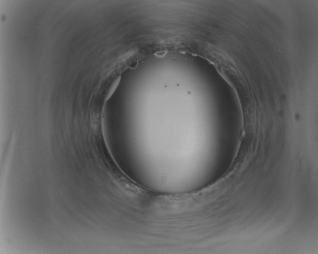 X0000073890033200608180945