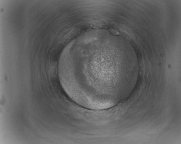 X0000073890034200608180945