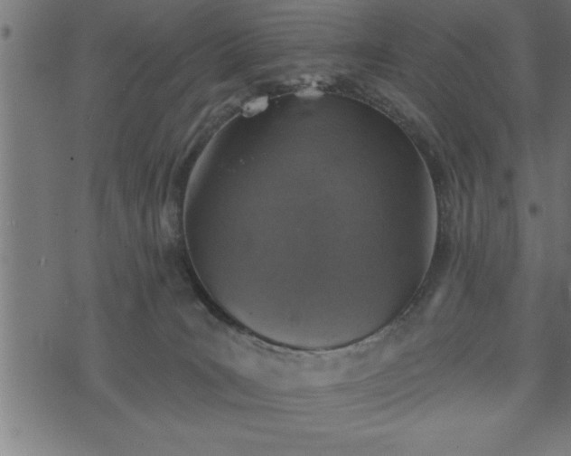 X0000073890035200608180945