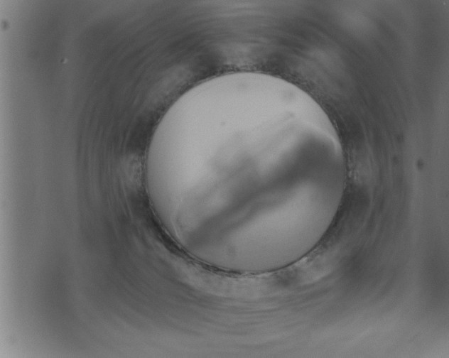 X0000073890036200608180945