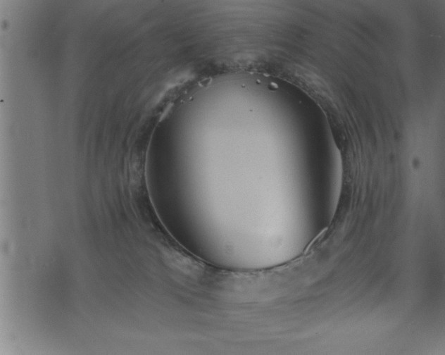 X0000073890037200608180945