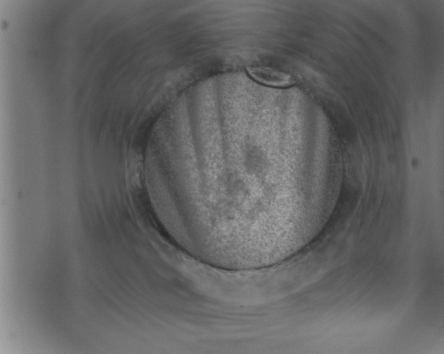 X0000073890038200608180945