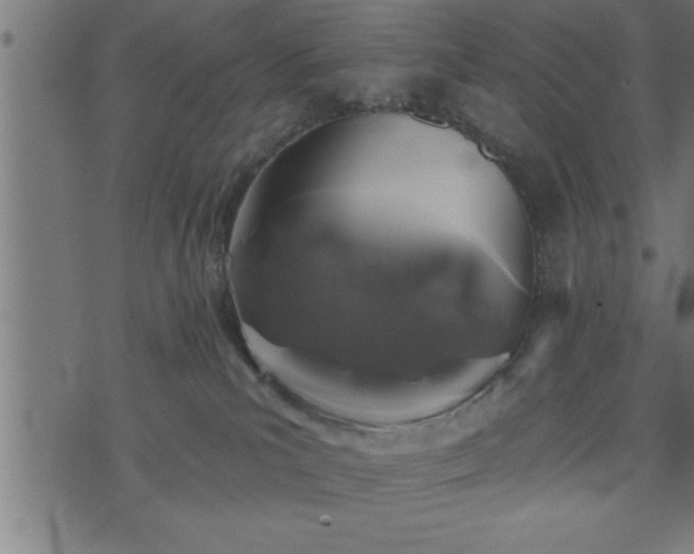 X0000073890039200608180945