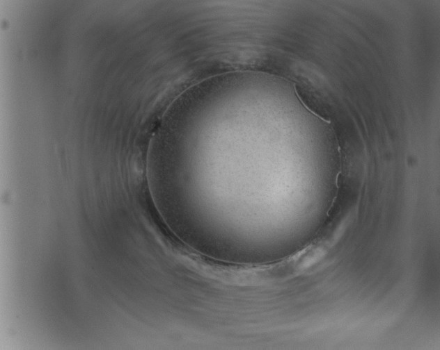 X0000073890040200608180944