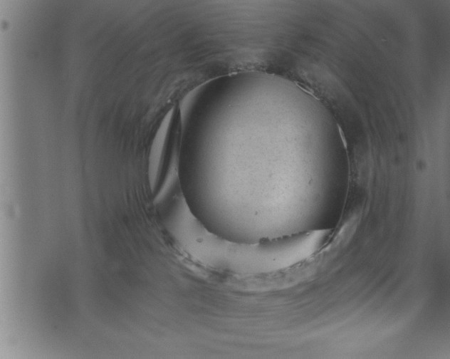 X0000073890041200608180944