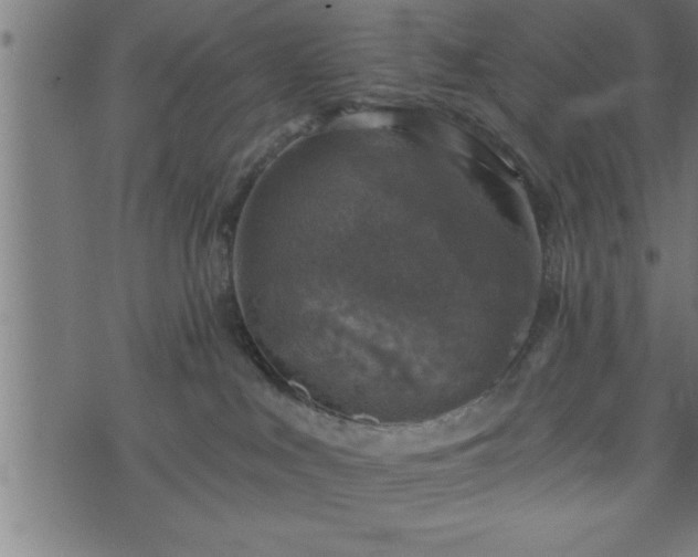 X0000073890043200608180944