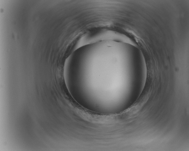 X0000073890044200608180944