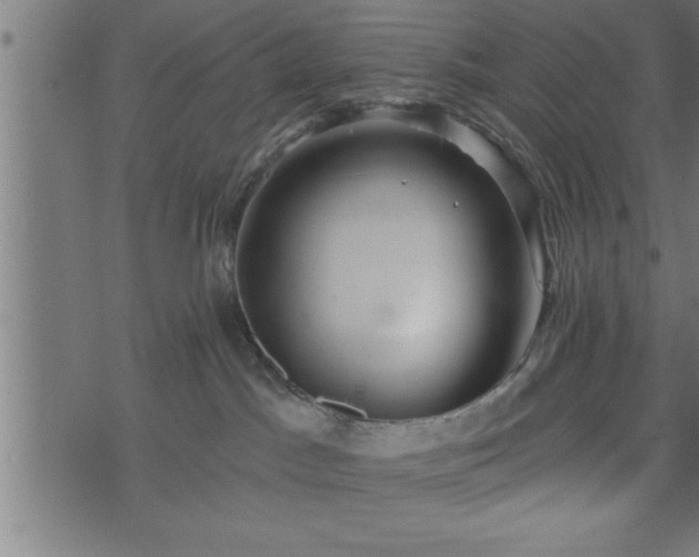 X0000073890045200608180944