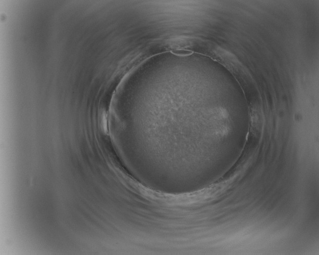 X0000073890046200608180944