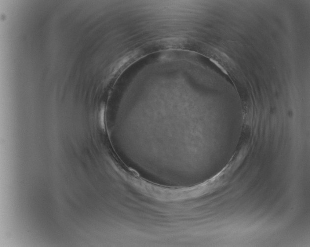 X0000073890047200608180944