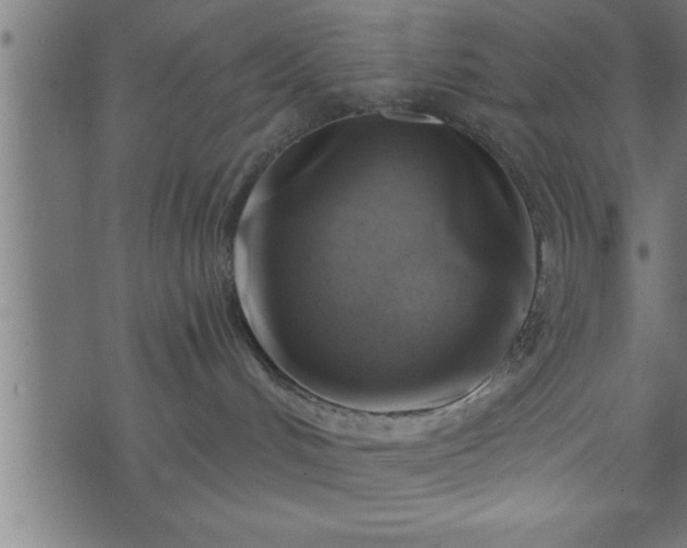 X0000073890048200608180944