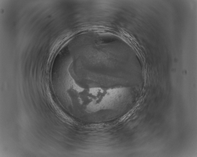 X0000073890049200608180944