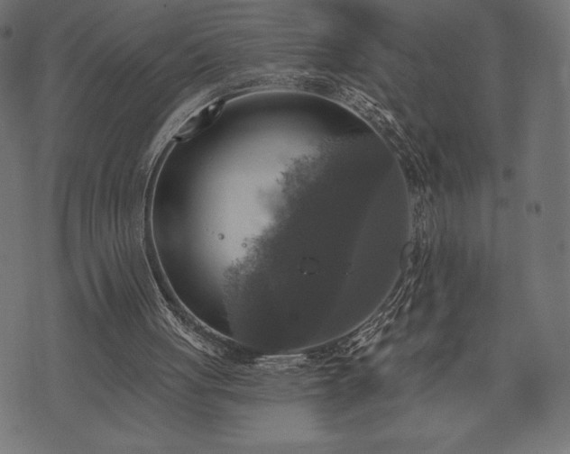 X0000073890051200608180944