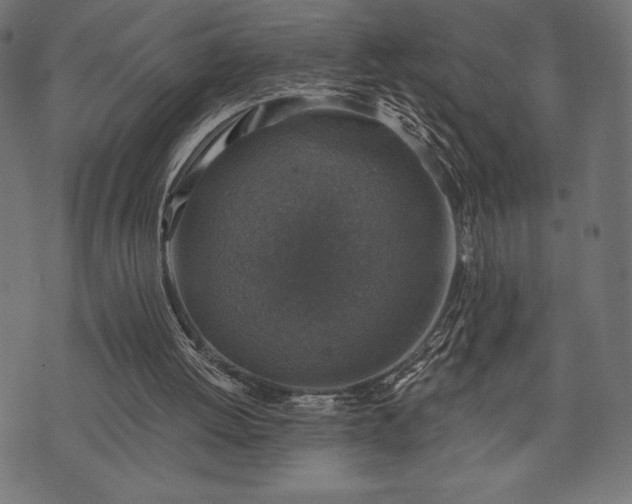 X0000073890052200608180944