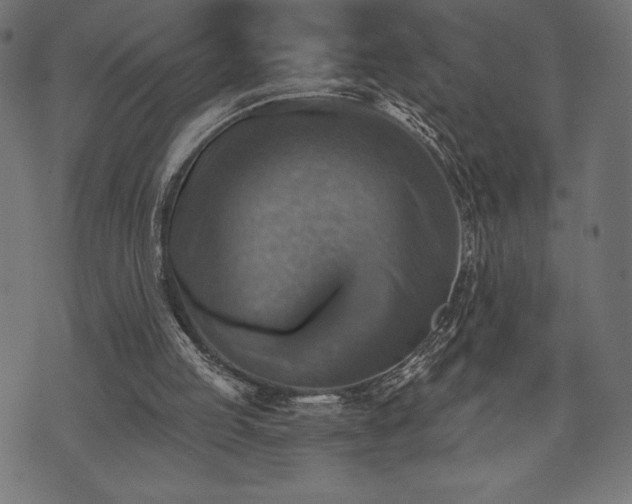 X0000073890053200608180944