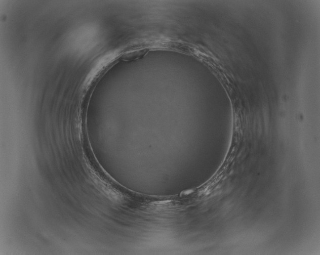 X0000073890054200608180944