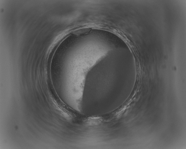 X0000073890055200608180944