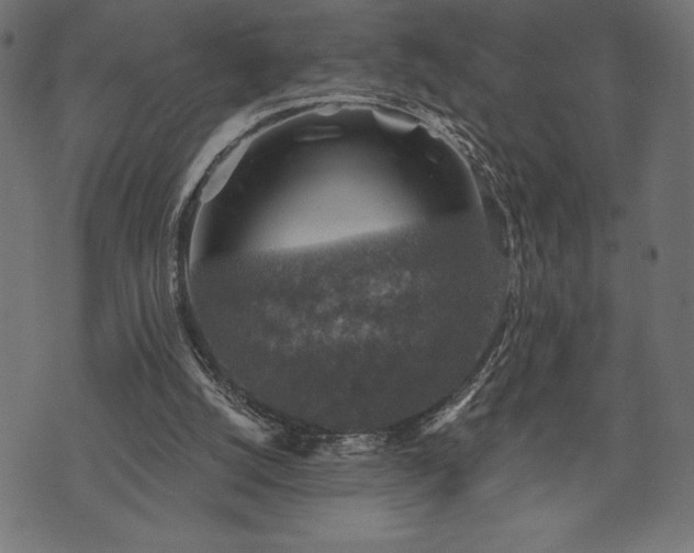 X0000073890056200608180944