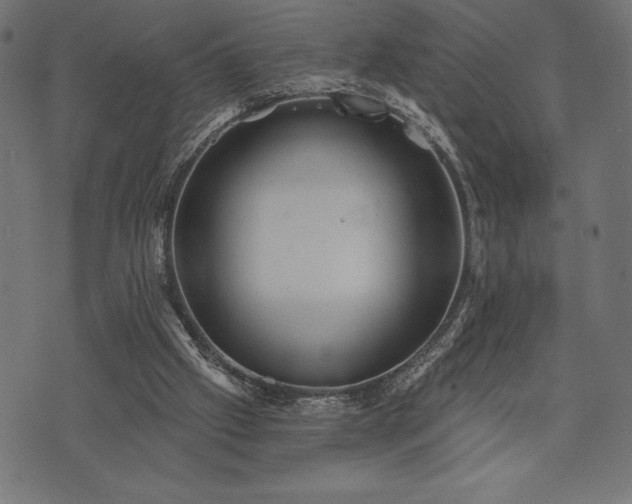 X0000073890057200608180944