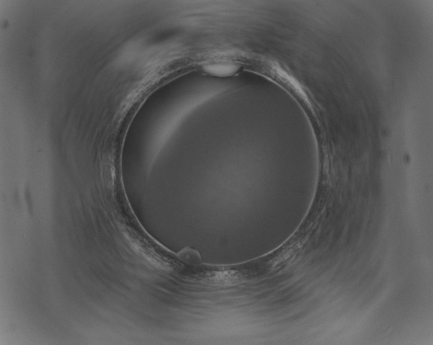 X0000073890059200608180944