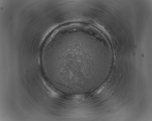 X0000073890060200608180944