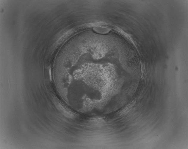 X0000073890061200608180944