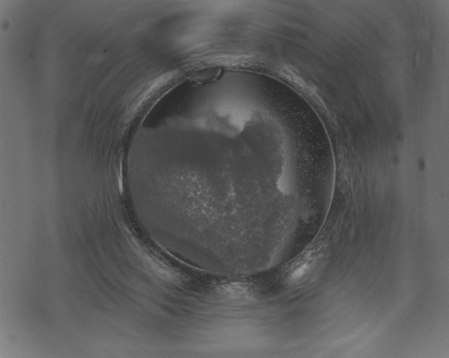 X0000073890062200608180944