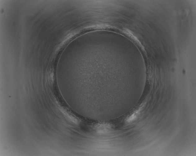 X0000073890063200608180944