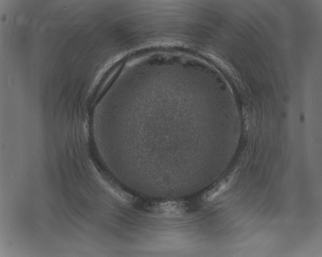 X0000073890064200608180944