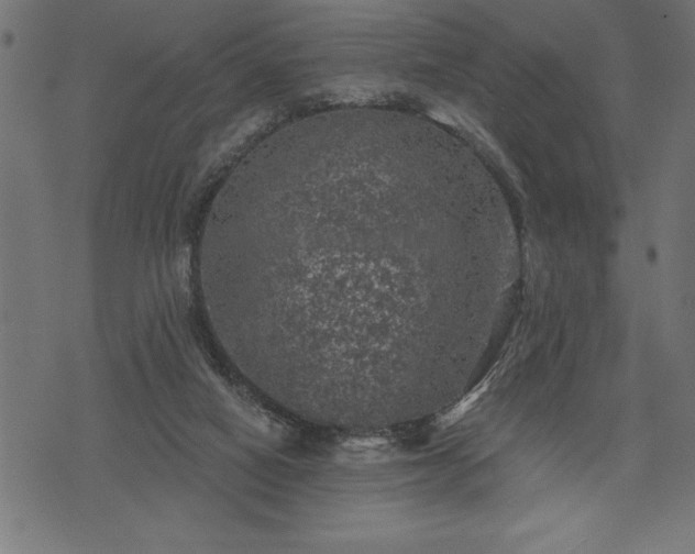 X0000073890066200608180944