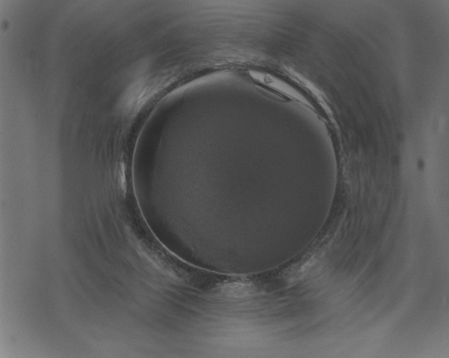 X0000073890067200608180944