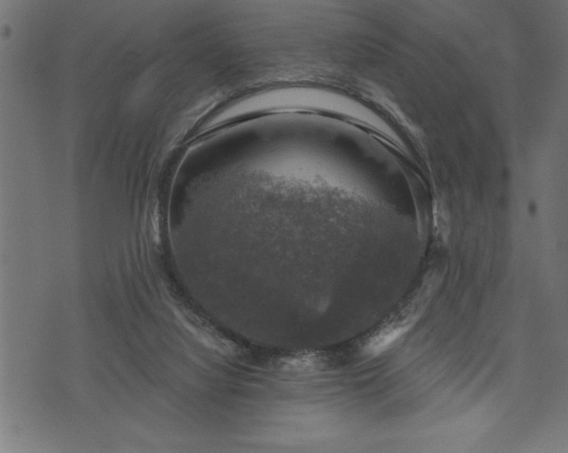 X0000073890068200608180944