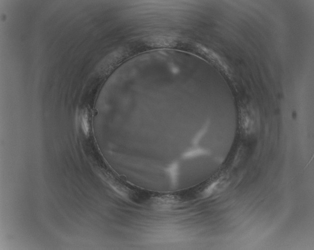 X0000073890069200608180944