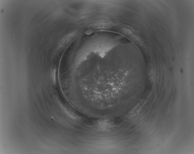 X0000073890070200608180944