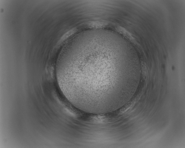 X0000073890071200608180944