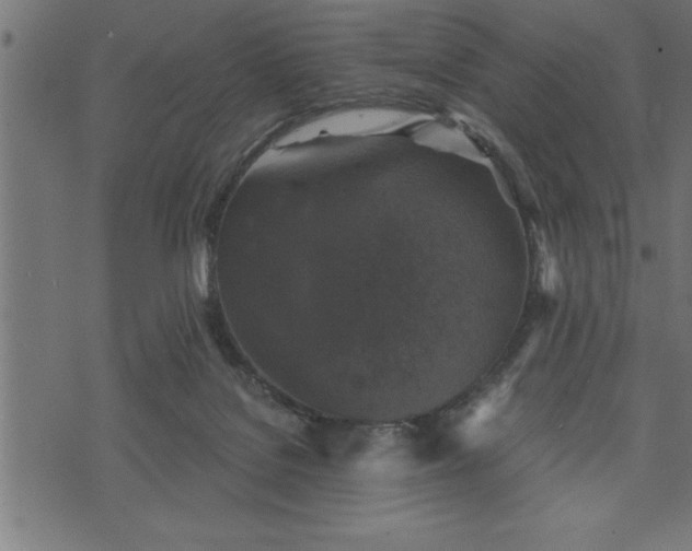 X0000073890076200608180944