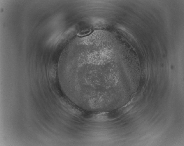 X0000073890078200608180944