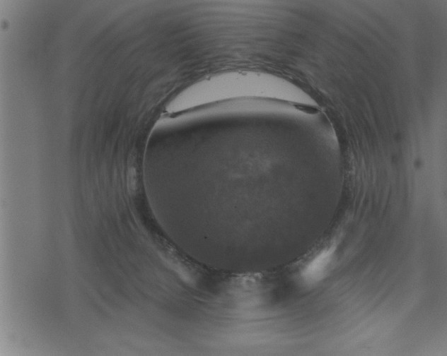 X0000073890080200608180944