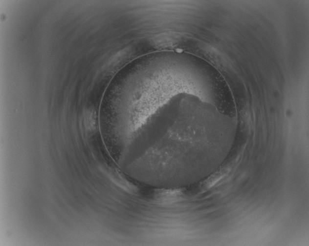 X0000073890081200608180944