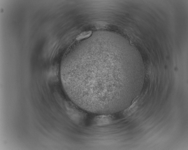 X0000073890082200608180944