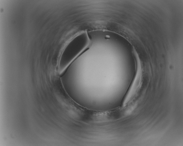 X0000073890084200608180944