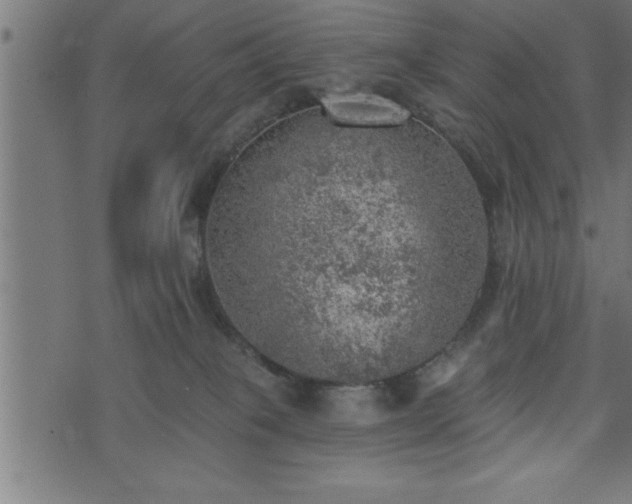 X0000073890085200608180944