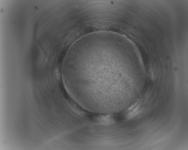 X0000073890086200608180944