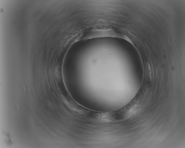 X0000073890088200608180944