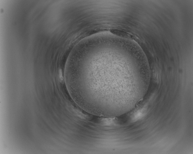 X0000073890089200608180944