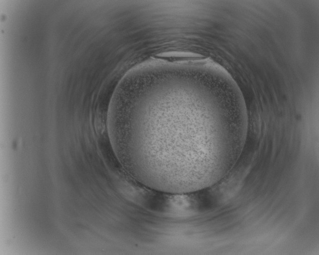 X0000073890091200608180944